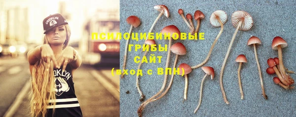 PSILOCYBIN Верея