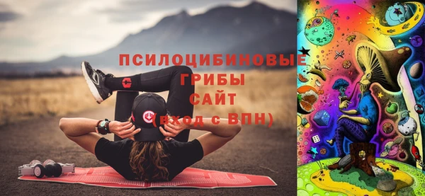 ГАЛЛЮЦИНОГЕННЫЕ ГРИБЫ Бронницы