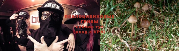 ALPHA PVP Бугульма