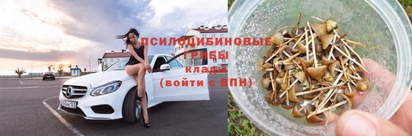 дурь Верхний Тагил